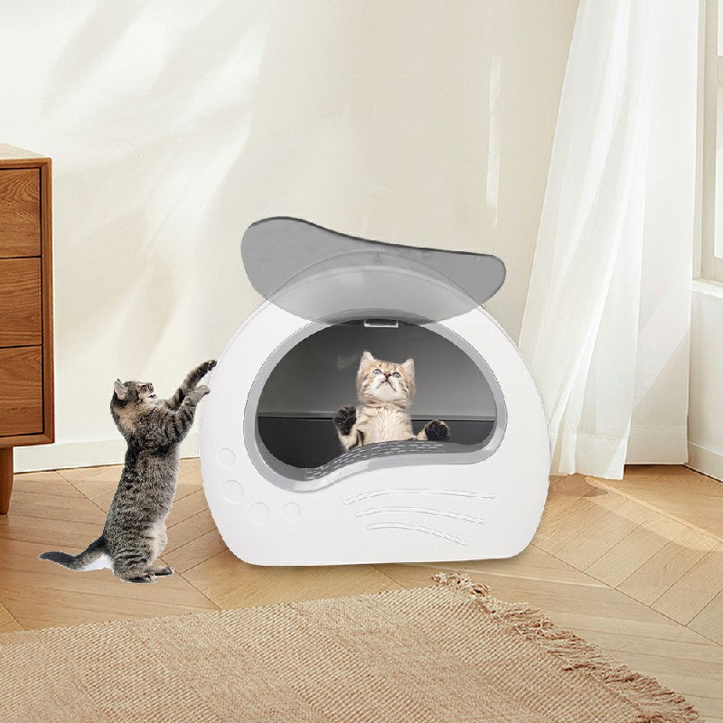 Cat Accessories