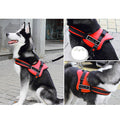 Adjustable Mesh Dog Vest Harness | No Pull Control Chest Strap XL