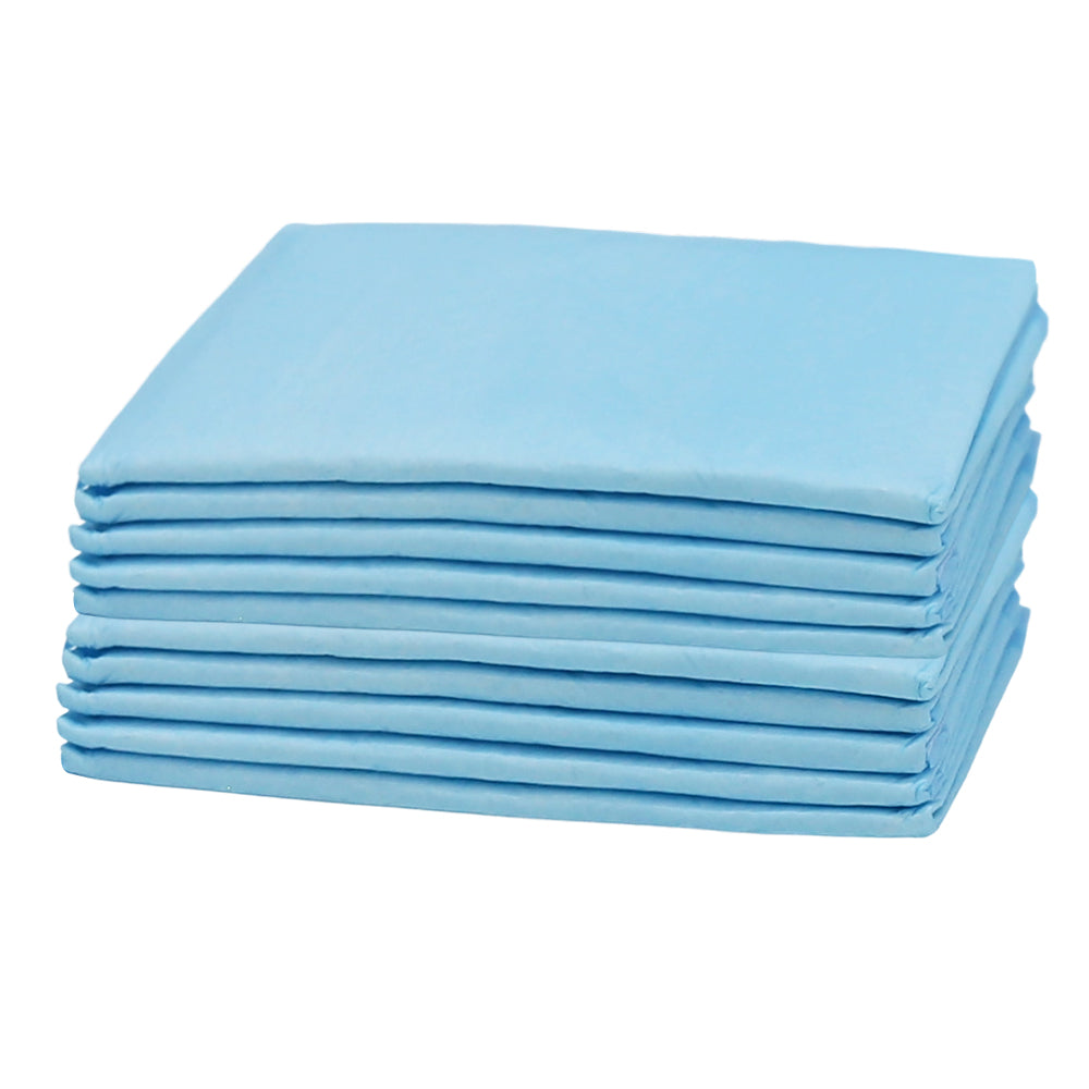 100-Pack Super Absorbent Puppy Training Pads - Leakproof Pet Pee Mats (33x45cm)