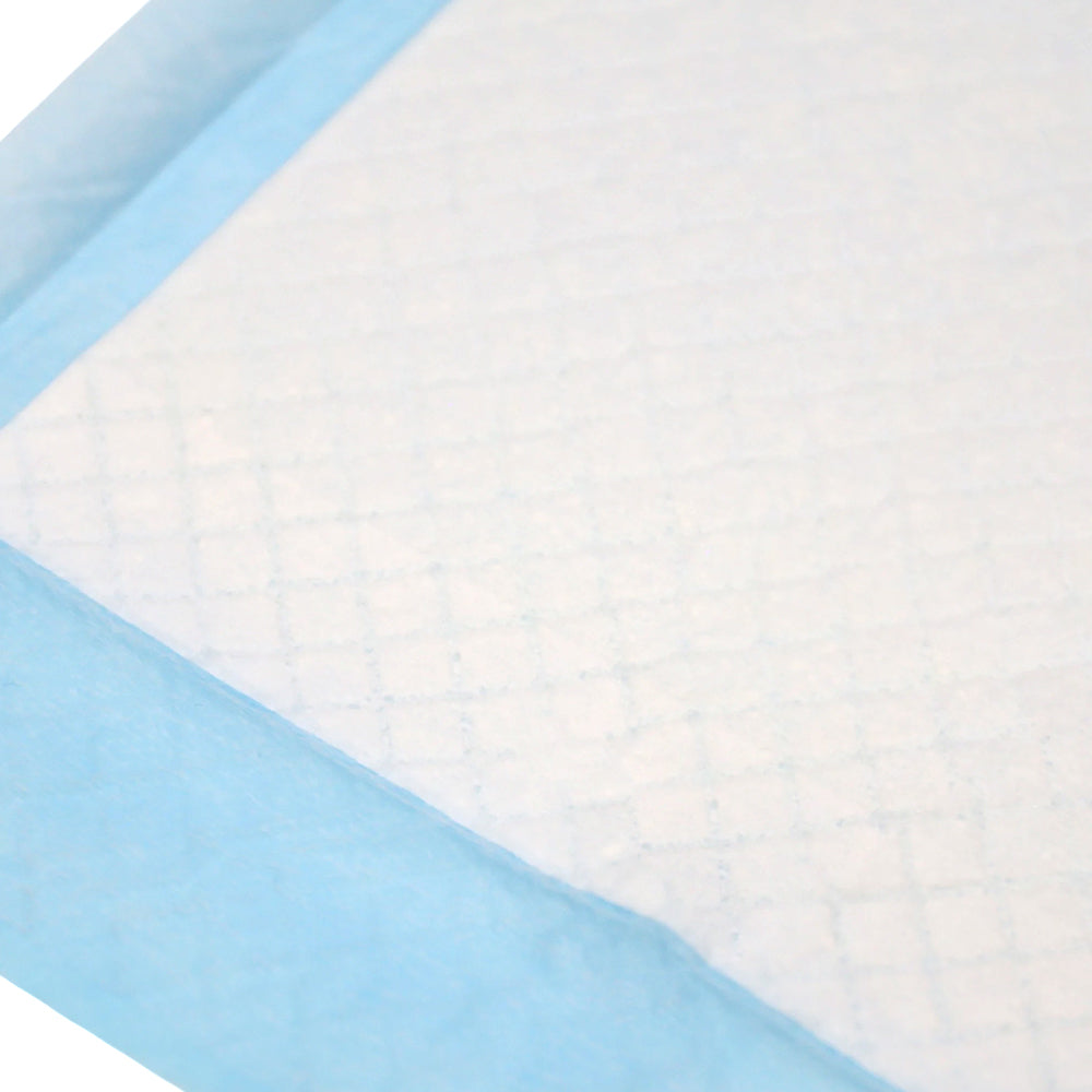 100-Pack Super Absorbent Puppy Training Pads - Leakproof Pet Pee Mats (33x45cm)