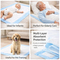 100-Pack Super Absorbent Puppy Training Pads - Leakproof Pet Pee Mats (33x45cm)