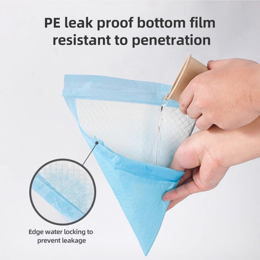 100-Pack Super Absorbent Puppy Training Pads - Leakproof Pet Pee Mats (33x45cm)