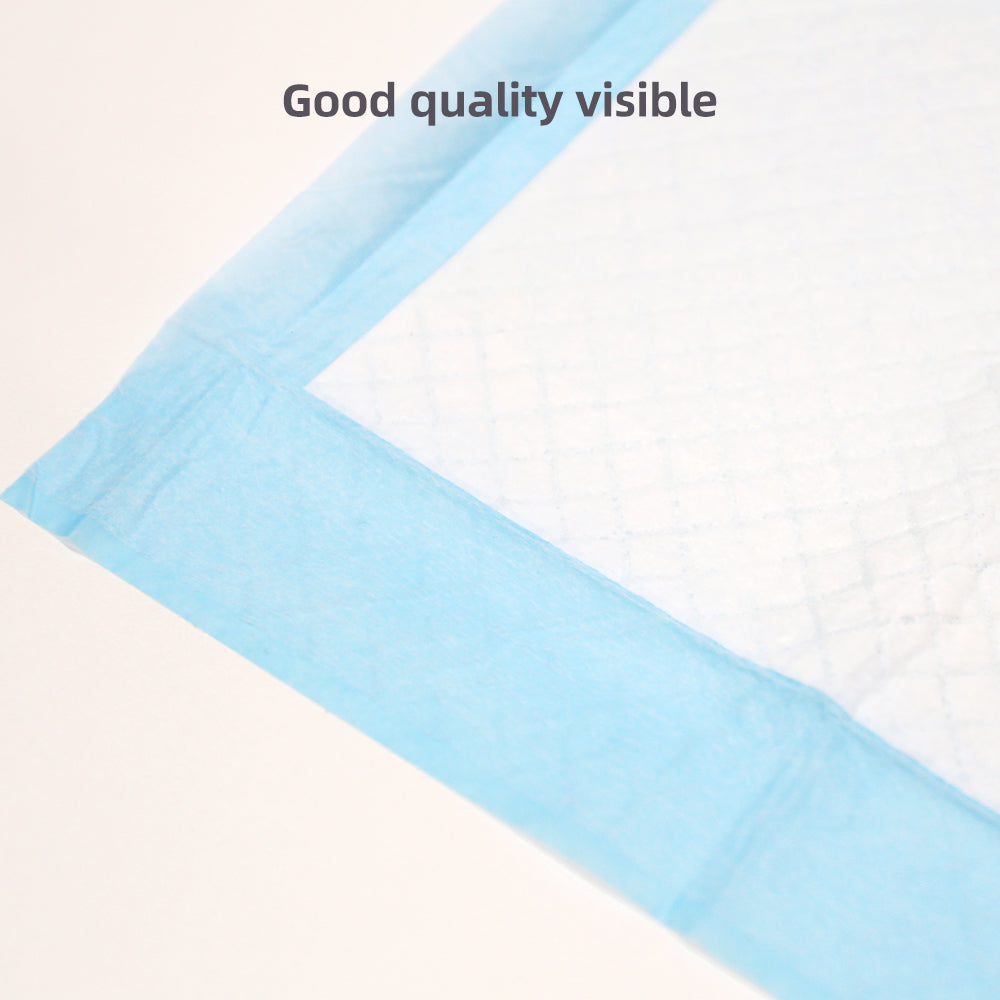 100-Pack Super Absorbent Puppy Training Pads - Leakproof Pet Pee Mats (33x45cm)