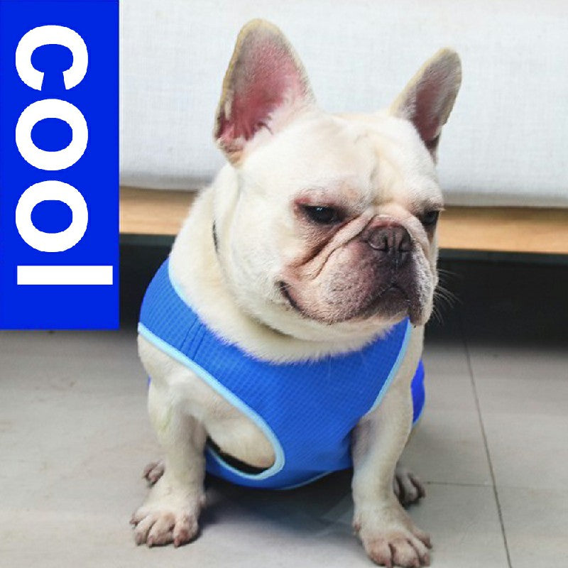 Dog Cooling Vest Jacket Puppy Summer Coat Reusable Evaporative Chilled XS