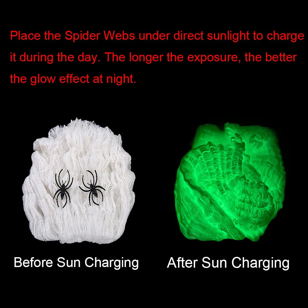 Glow-in-the-Dark Halloween Spider Web Decoration
