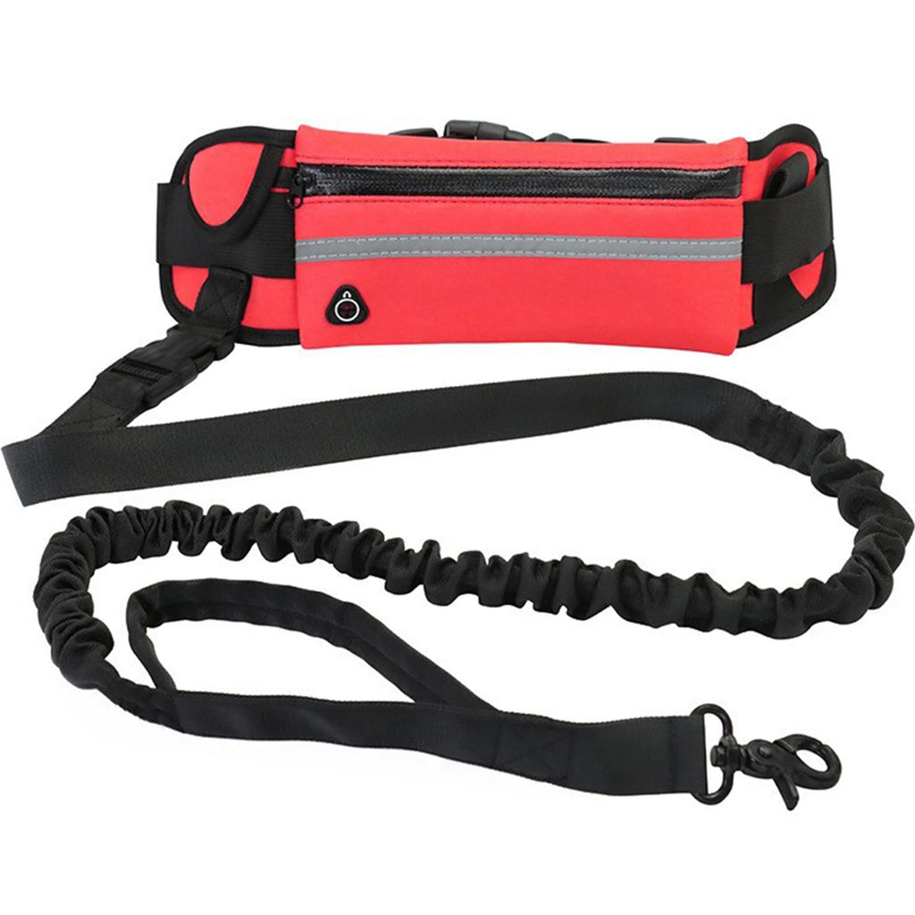 Hands Free Dog Leash with Waist Bag | Reflective Nylon Running Lead
