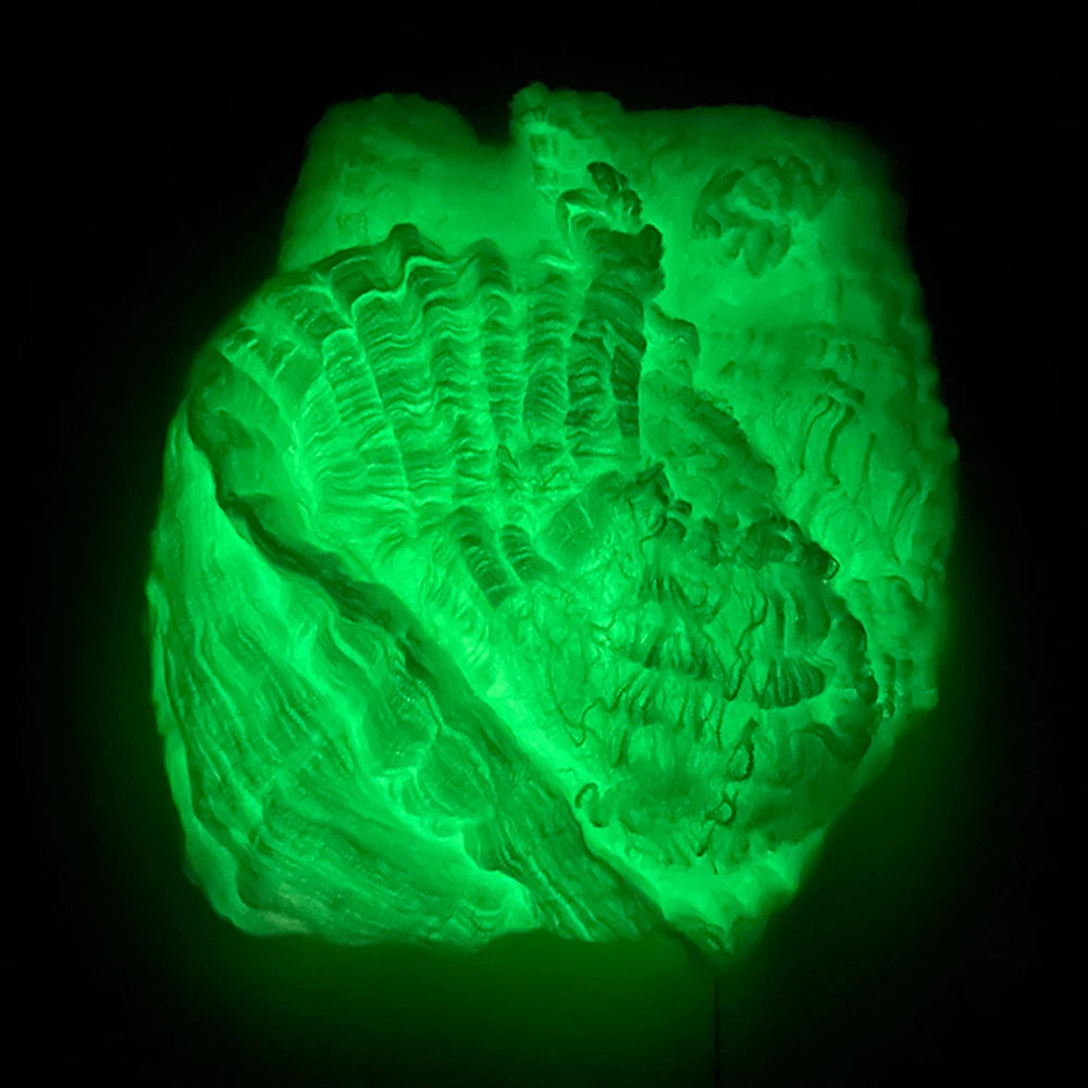 Glow-in-the-Dark Halloween Spider Web Decoration