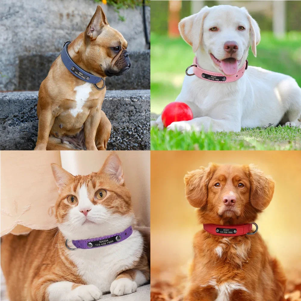 Personalised Leather Dog Collar | Free Engraving | XS–XL | 9 Colours
