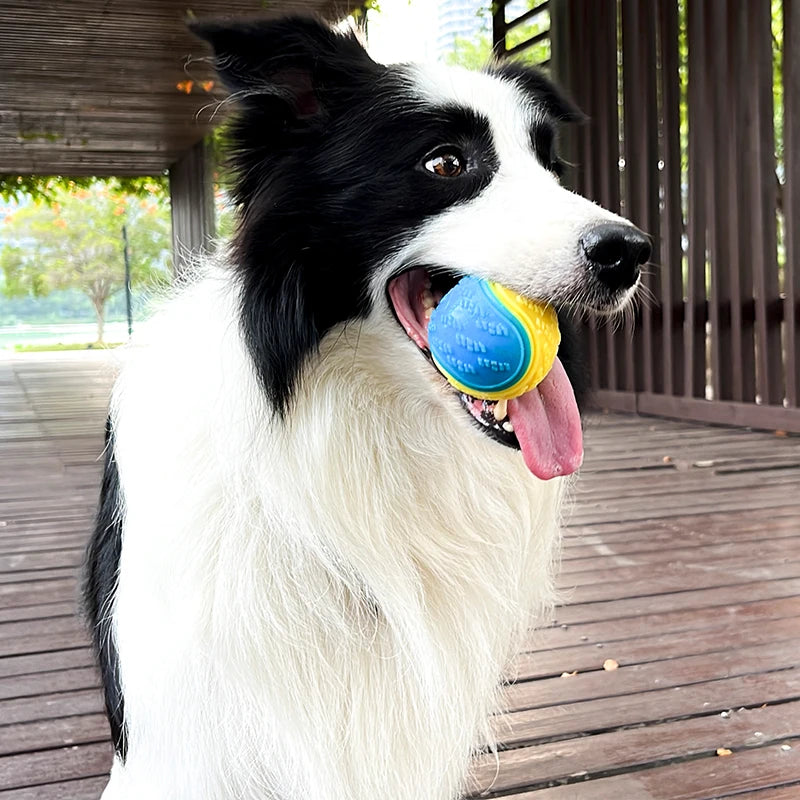Squeaky Dog Ball Toy | TPR Bite-Resistant | Teeth Cleaning | Blue, Purple & Green