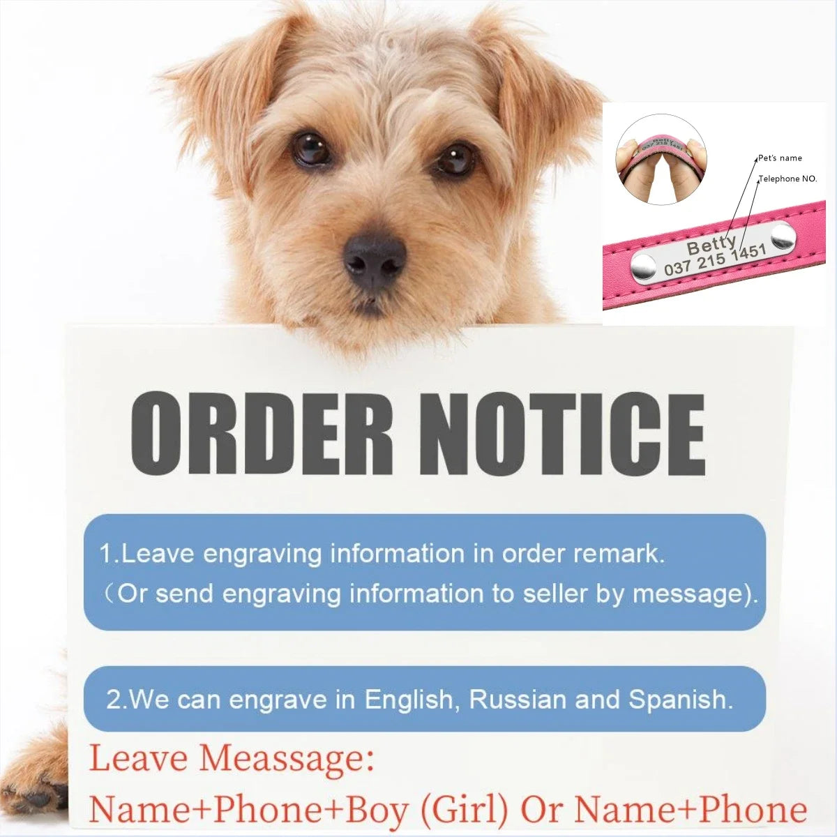 Personalised Leather Dog Collar | Free Engraving | XS–XL | 9 Colours