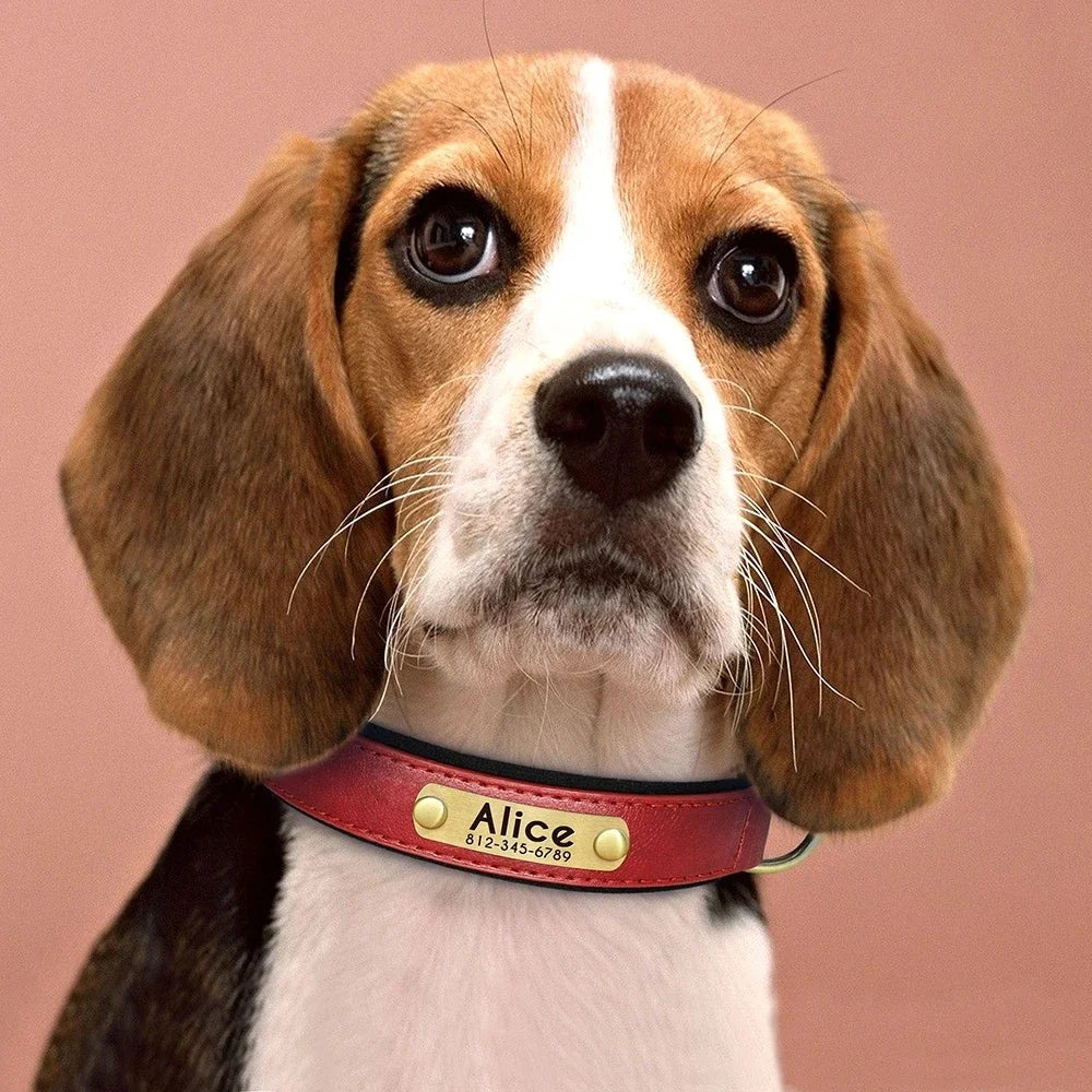 Personalised Leather Dog Collar | Free Engraving | XS–XL | 9 Colours