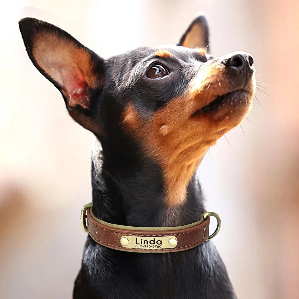 Personalised Leather Dog Collar | Free Engraving | XS–XL | 9 Colours