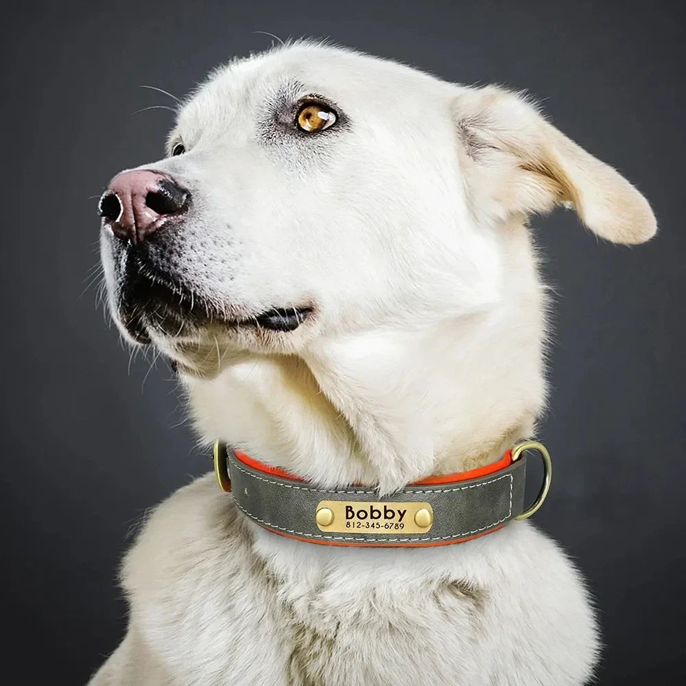 Personalised Leather Dog Collar | Free Engraving | XS–XL | 9 Colours