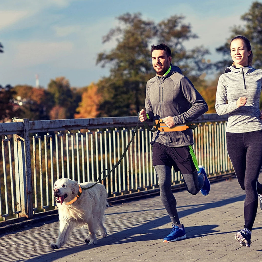 Hands Free Dog Leash with Waist Bag | Reflective Nylon Running Lead