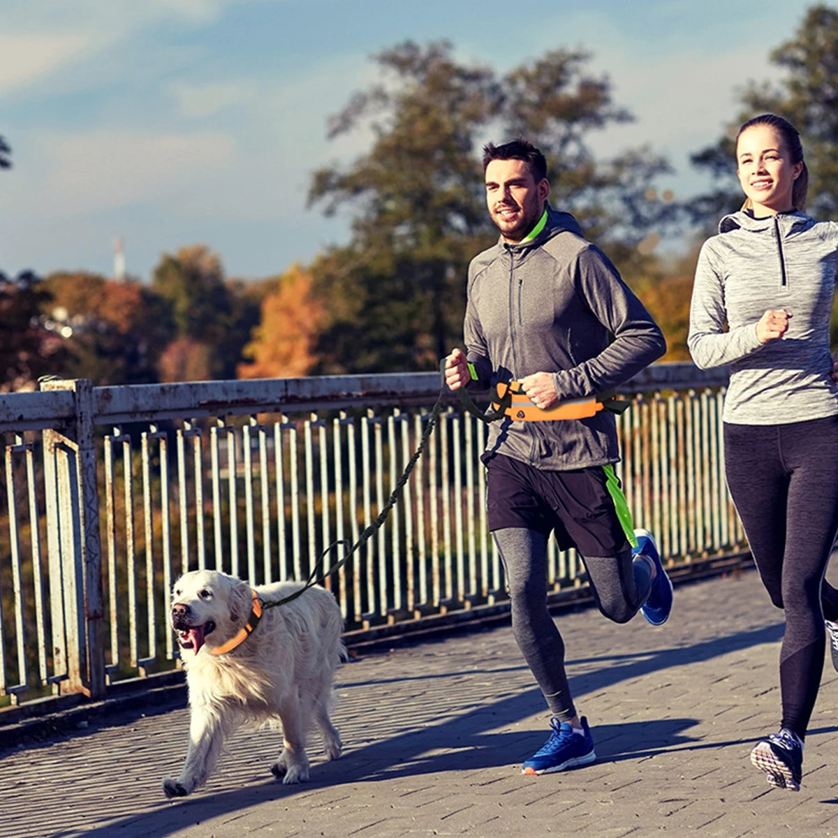 Hands Free Dog Leash with Waist Bag | Reflective Nylon Running Lead
